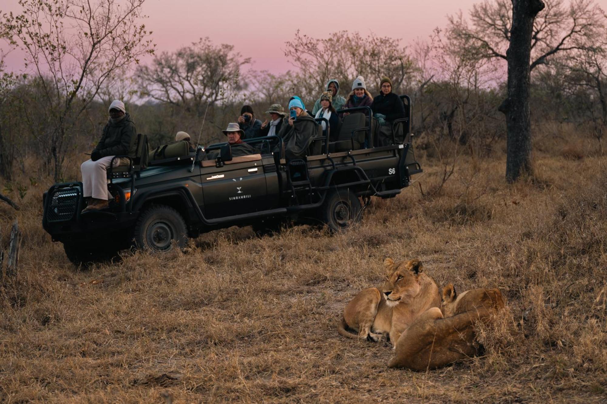 Thornybush Simbambili Lodge サビ・サンド動物保護区 エクステリア 写真
